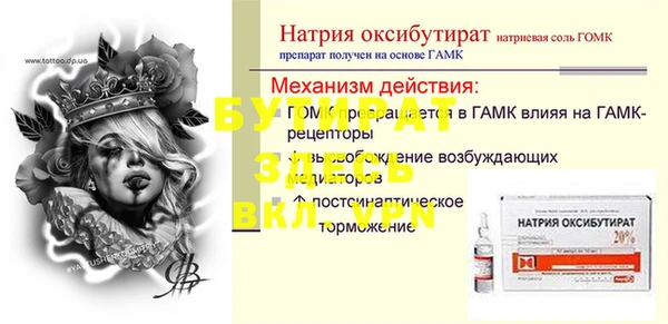 индика Няндома