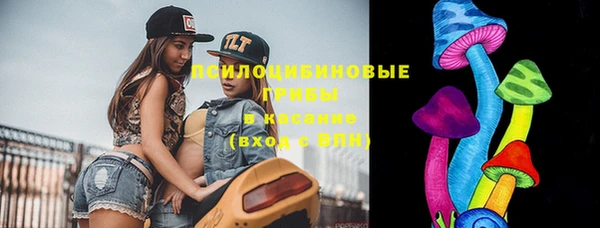кокс Осташков