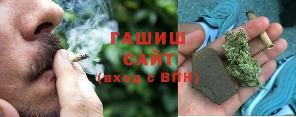 индика Няндома