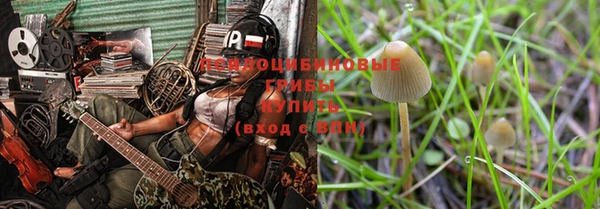 индика Няндома