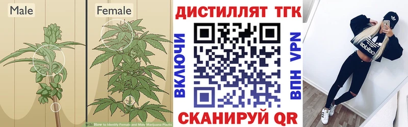 Дистиллят ТГК вейп  магазин продажи   Арсеньев 